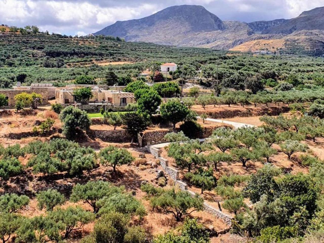 Petrakis Cretan Homes Kíssamos Zewnętrze zdjęcie