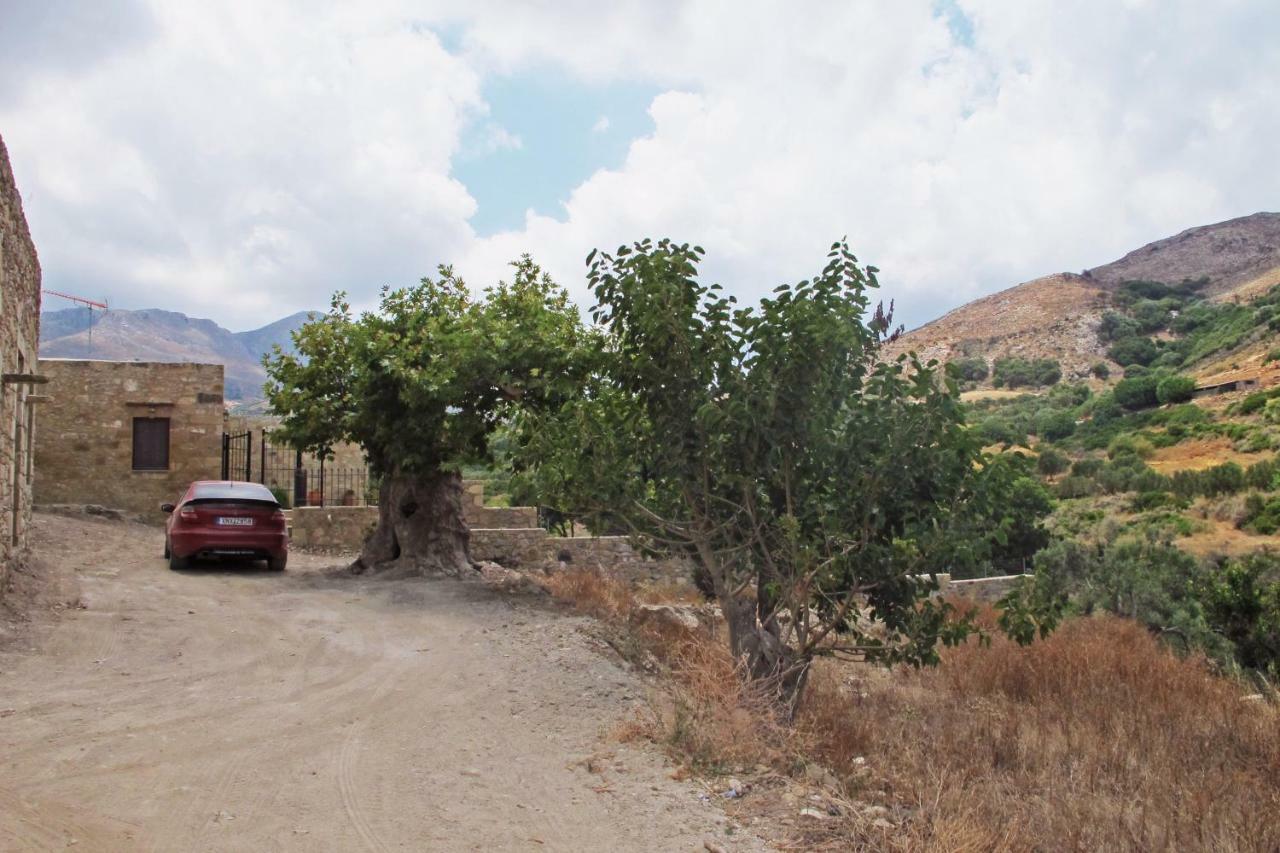 Petrakis Cretan Homes Kíssamos Zewnętrze zdjęcie