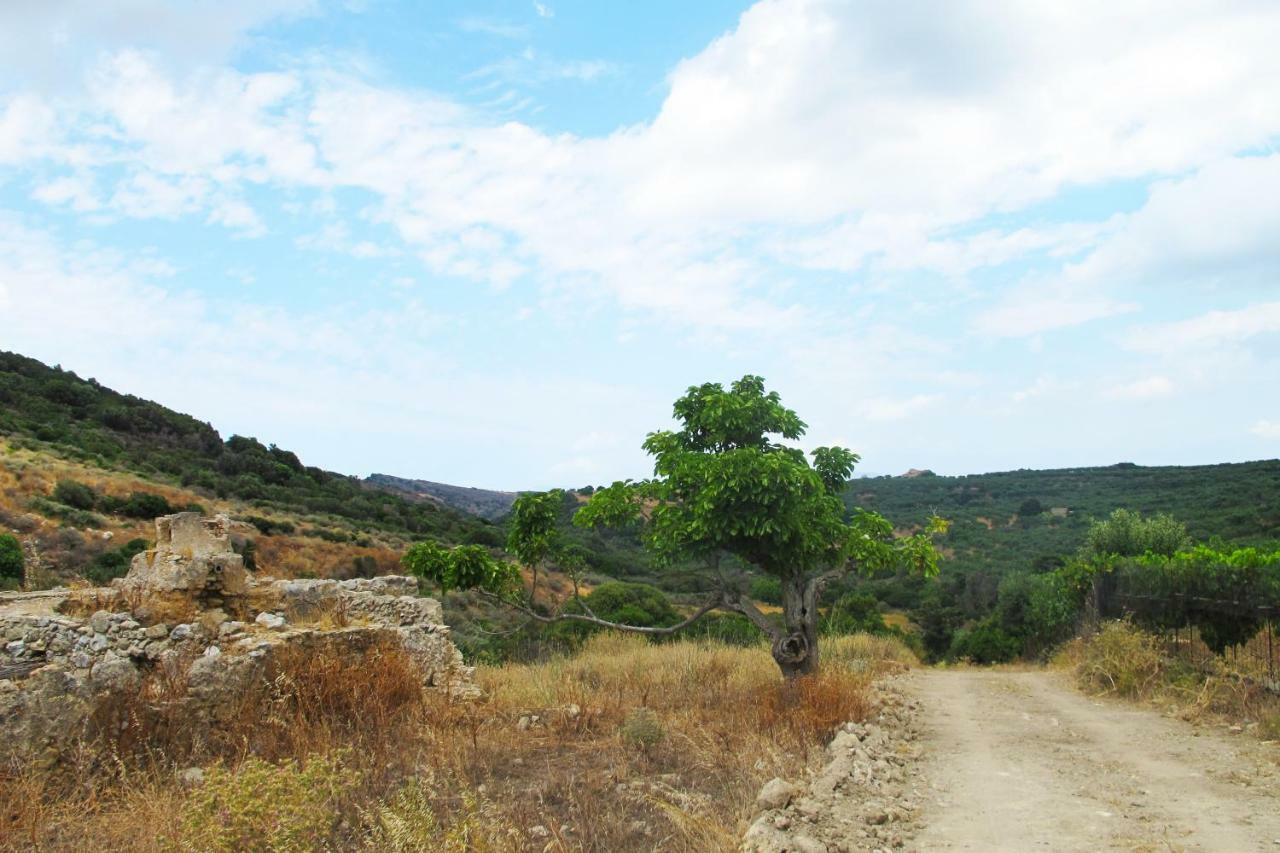 Petrakis Cretan Homes Kíssamos Zewnętrze zdjęcie
