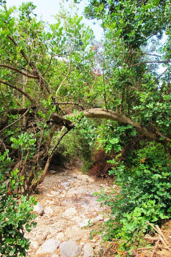 Petrakis Cretan Homes Kíssamos Zewnętrze zdjęcie