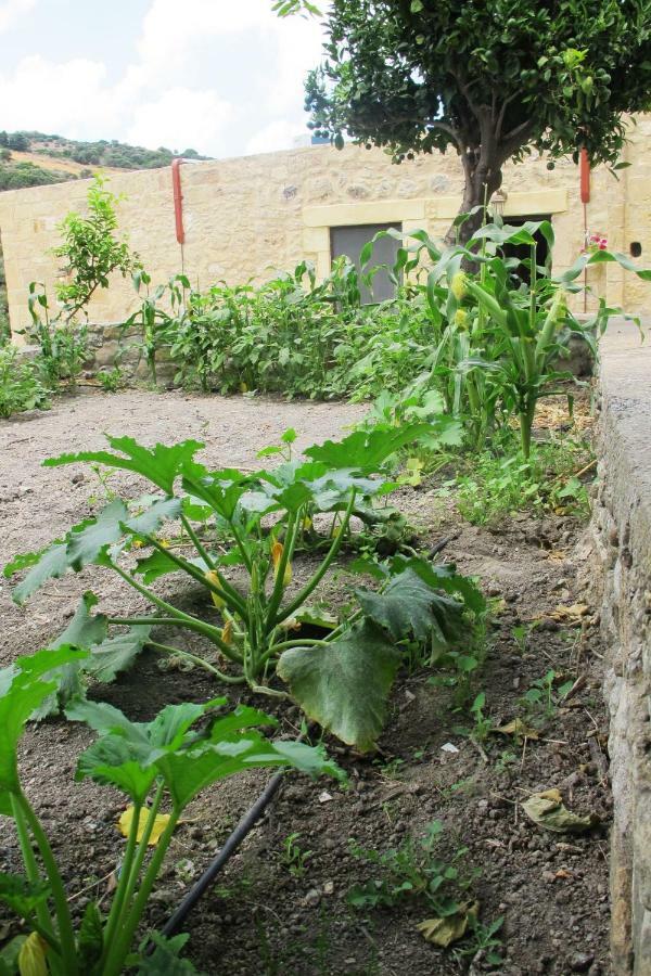 Petrakis Cretan Homes Kíssamos Zewnętrze zdjęcie
