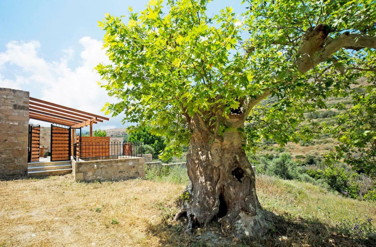 Petrakis Cretan Homes Kíssamos Zewnętrze zdjęcie